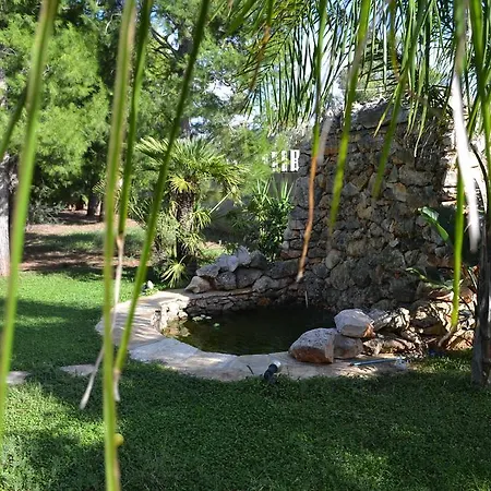 Bismi Bed & Breakfast *